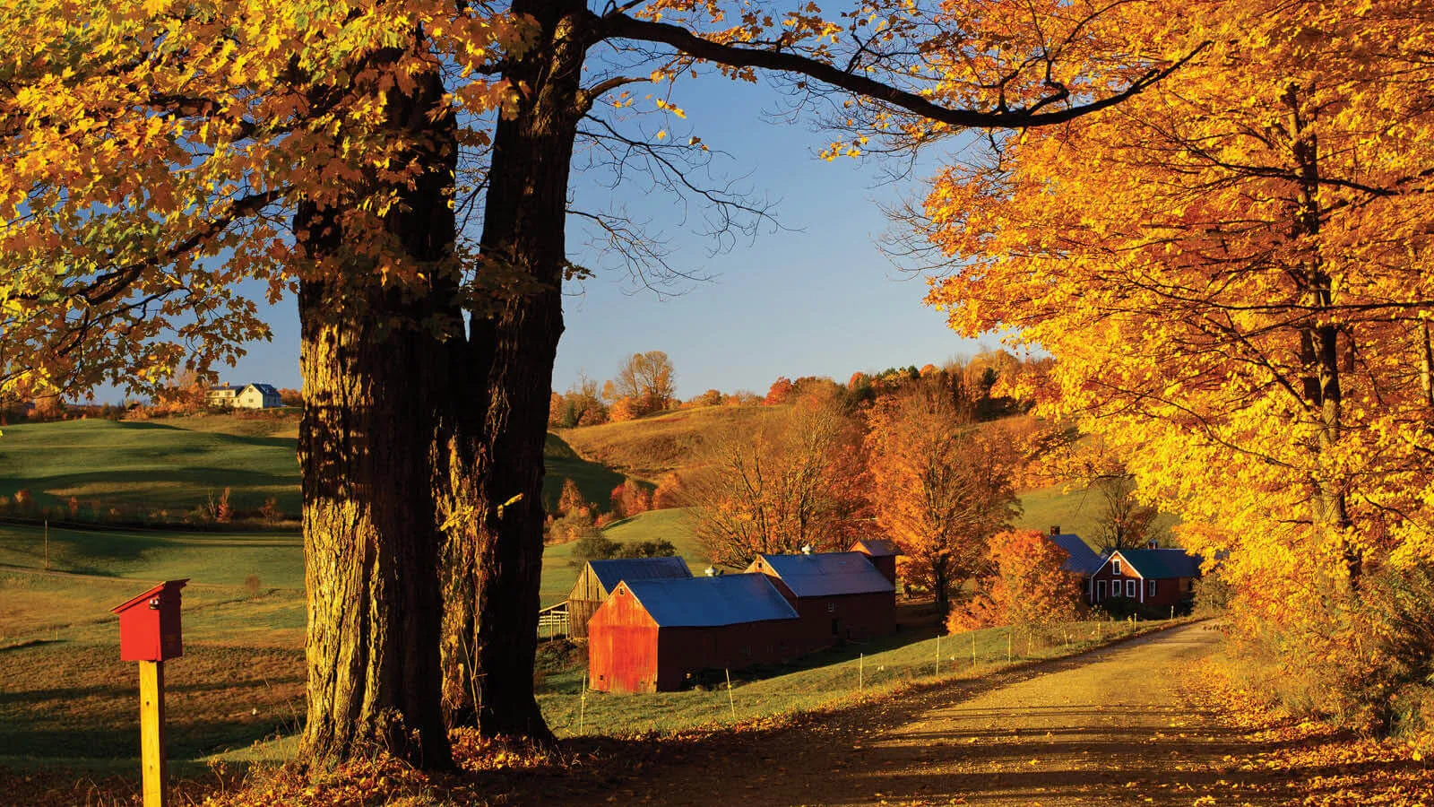 Fall Foliage 2 Fall Foliage 2